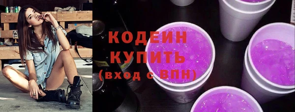 шишки Гусиноозёрск